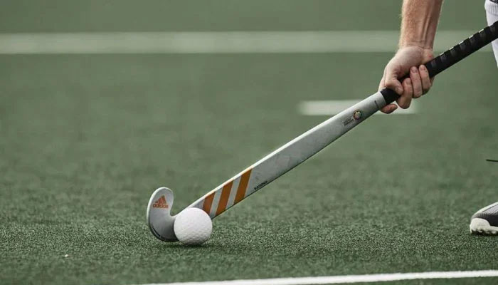 Representational image of a hockey stick and ball shows. — APP/File