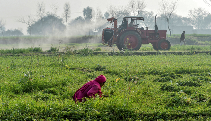This picture shows a person o a field with a tractor in the background. — AFP/File
