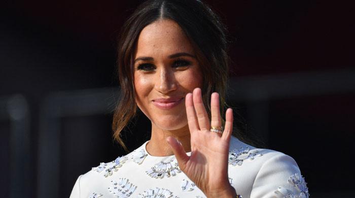 Ex-UK police officers sentenced for sending racist messages about Meghan, royals - Vimarsana News