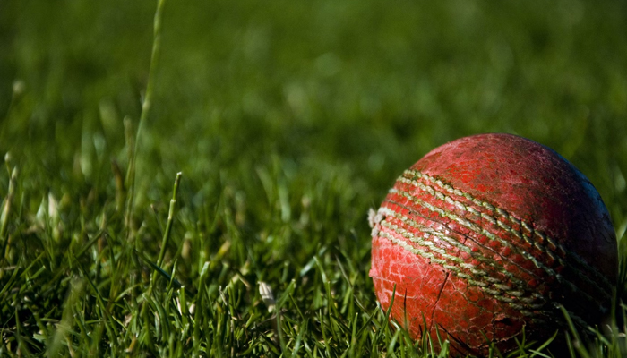 This representational image shows a hard ball on a field. — Unsplash/File