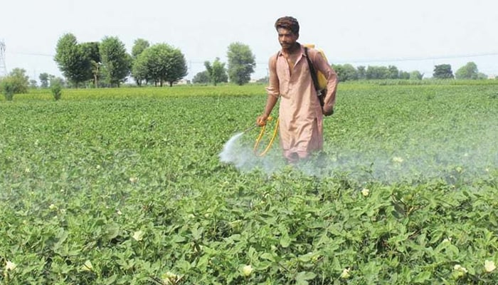 A farmer while spraying on crops. — AFP/File