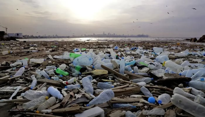 A heap of plastic waste can be seen on the shore. — AFP/File