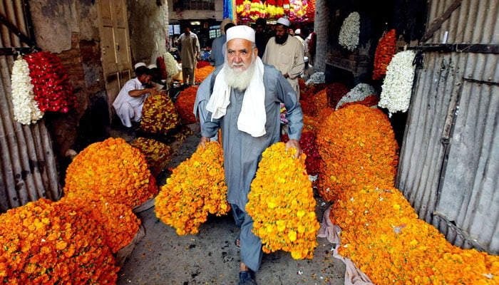 An elderly man carries marigolds in Peshawars flower market. — X/@Oldpeshawar