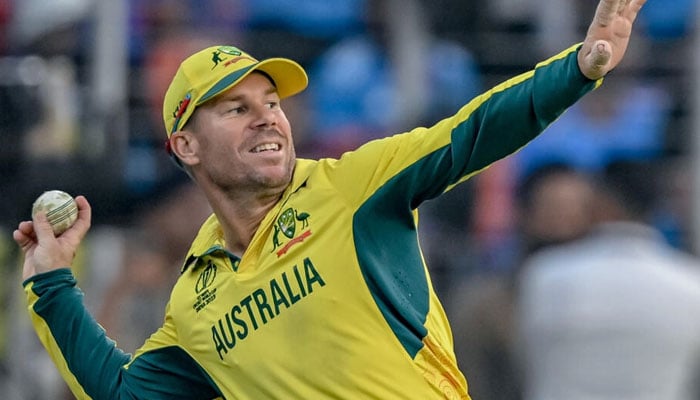 Australias David Warner will miss the T20 series in India. — AFP File