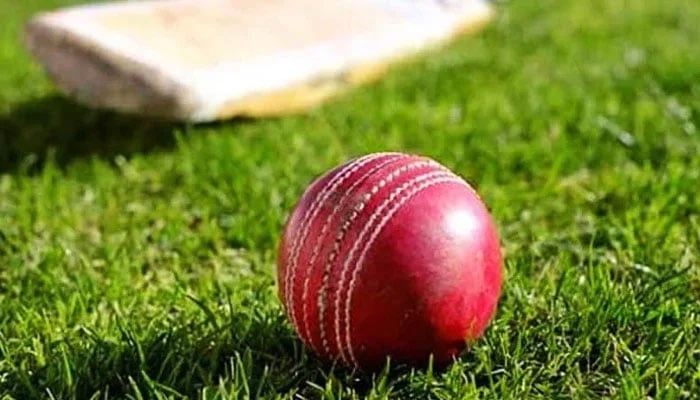 Representational image of a ball with a bat in the background. — AFP/File