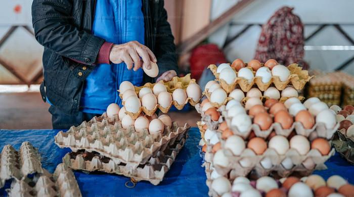 Pakistan's egg market scrambles amid feed shortages and inflation - Vimarsana News