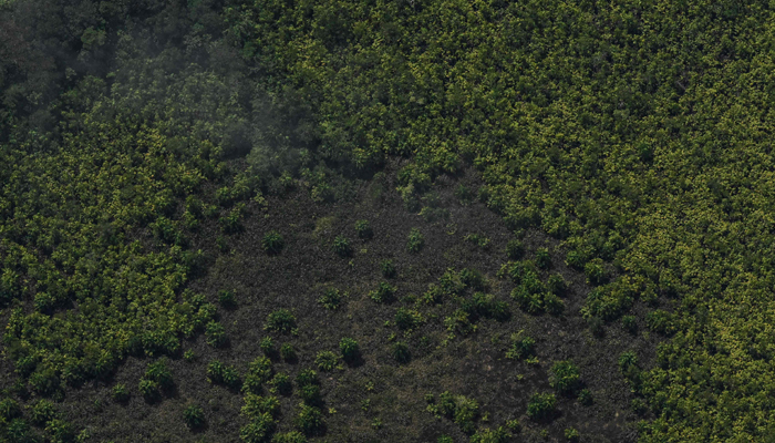 Aerial view of coca leaf plantations in the forest near the Pacific coast, in the department of Narino, Colombia, taken on May 11, 2023. — AFP