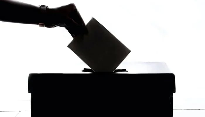 A representational image showing a person casting a vote. — Unsplash/File