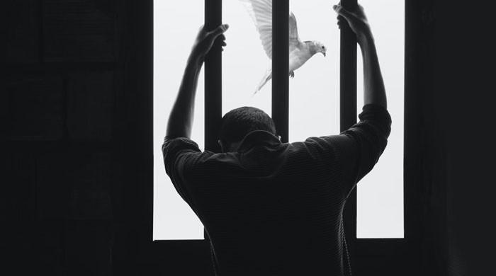 Speakers stress proper care of prisoners - Vimarsana News