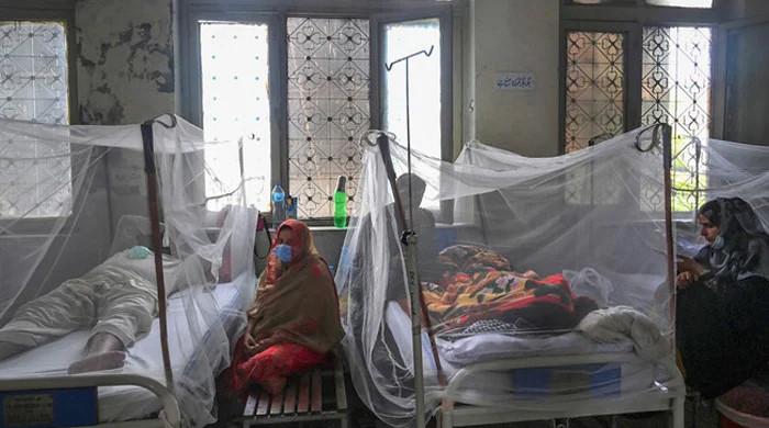 Dengue cases decline as mercury dips in Punjab - Vimarsana News