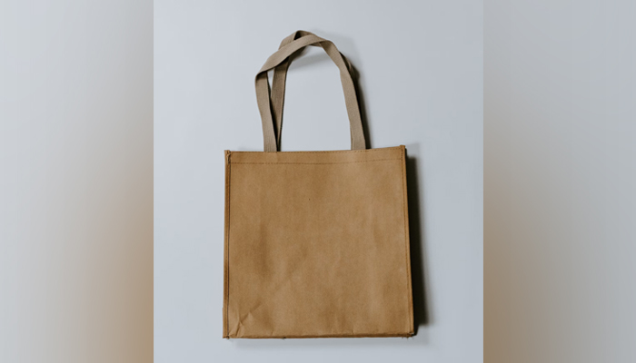 This representational image shows a paper bag. — Unplash
