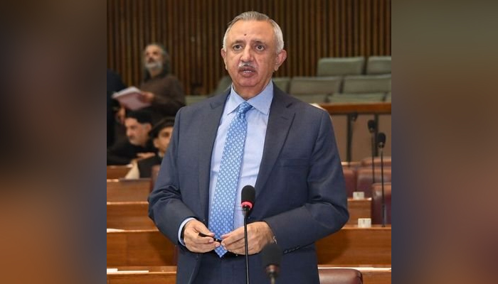 Senator Shahadat Awan can be seen in this image.—X/@SenShahadatAwan