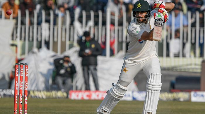 Spinners can play vital role in Sydney Test, says Salman - Vimarsana News