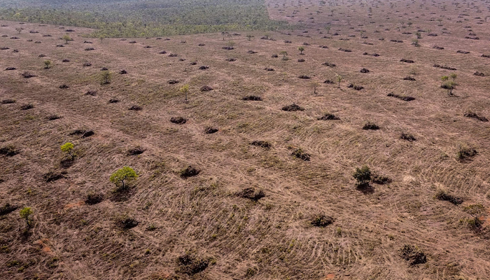 Aerial view of deforestation of the native Cerrado (savanna) in Sao Desiderio, west Bahia state, Brazil, taken on September 25, 2023. — AFP