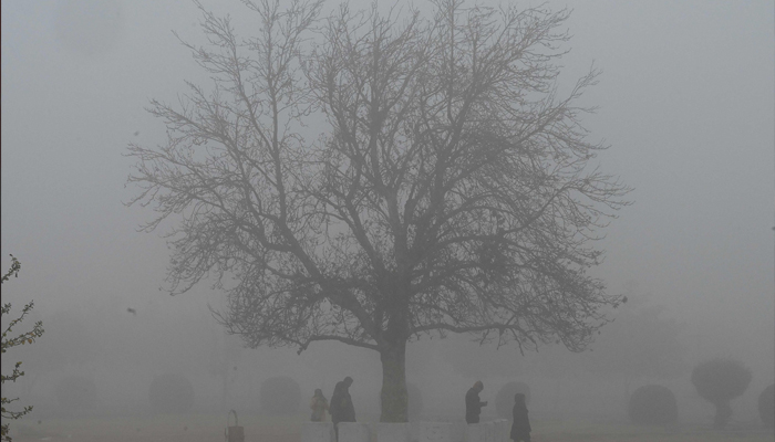 People walk in a park on a cold foggy winter morning in Islamabad on January 3, 2024. — AFP