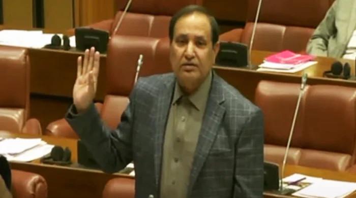 Outcry over Senate resolution calling for election delay - Vimarsana News