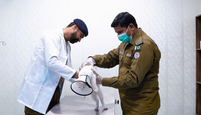 This still shows a doctor and a police official of the Rawalpindi Police examining a cat in the Police Animal Rescue Centre in Rawalpindi on January 8, 2024. — Facebook/Rawalpindi Police