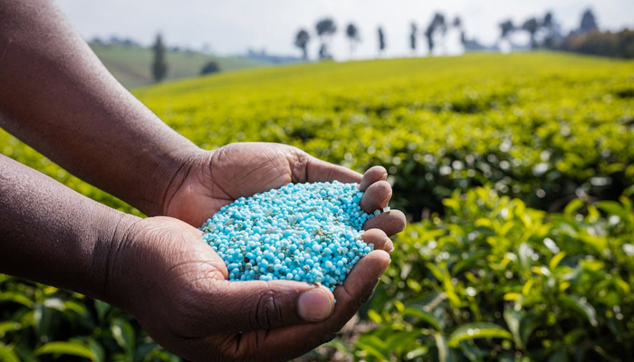 This representational image shows a man holding urea in his hand. — Pexels