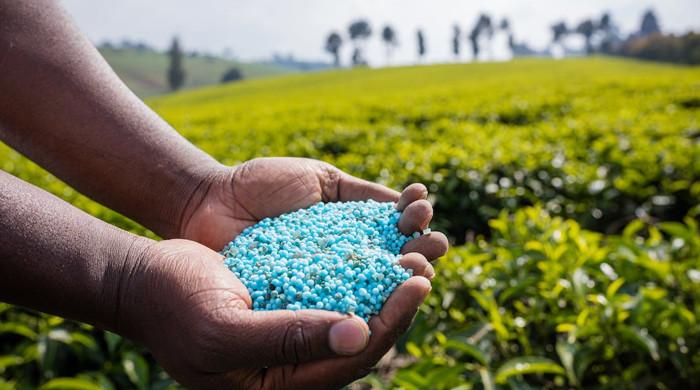 ECC okays jacking up of local urea prices - Vimarsana News