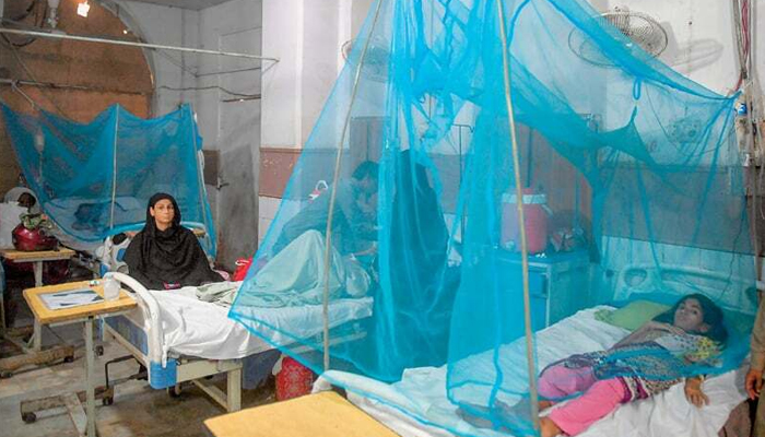 Patients suffering from dengue fever rest on beds covered by netting at a hospital in Karachi. — AFP/File