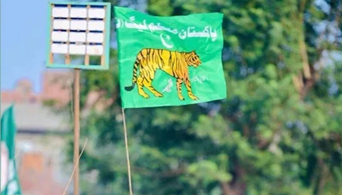 This image shows the Pakistan Muslim League Nawaz party flag on October 28, 2023. — Facebook/PML-N
