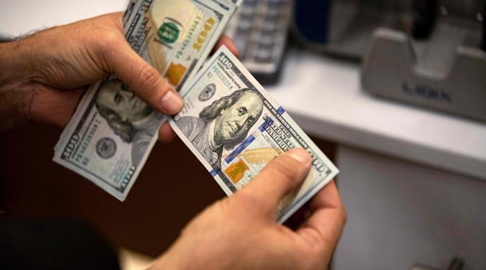 Remittances rise 13.4pc to $2.4bn in Dec on currency stability - Vimarsana News