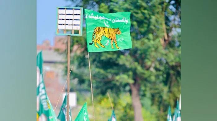 PMLN fast gaining its lost ground: survey - Vimarsana News