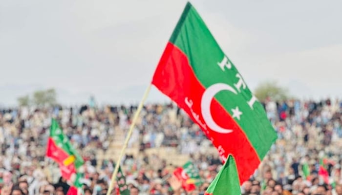 This image shows a PTI party flag on December 10, 2023. — Facebook/PTI Khyber Pakhtunkhwa