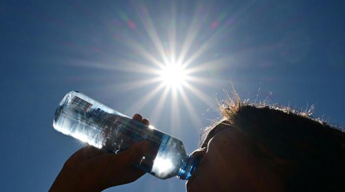 El Nino could make 2024 hotter than record 2023 - Vimarsana News