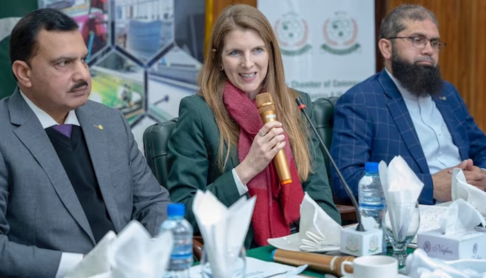 UK High Commissioner Jane Marriott can be seen in this image on January 13, 2024.—X@JaneMarriottUK