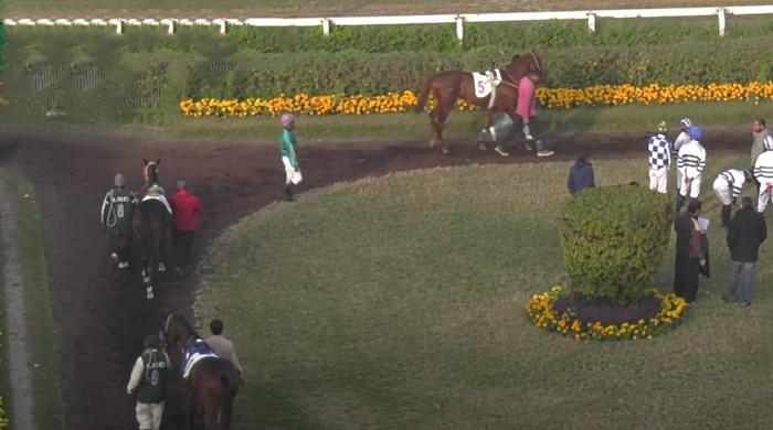 Dur-e-Adan, Jim And Tonic, Macs King clinch cup races - Vimarsana News