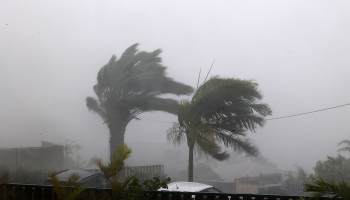 A photo shows trees subjected to very strong winds during cyclone Belal, in La Possession, on the French overseas island of La Reunion, on January 15, 2024. — AFP