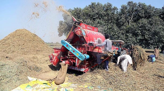 Sindh govt signs accord for corporate farming over 52,000 acres - Vimarsana News