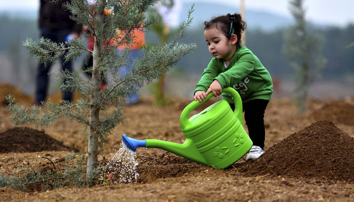 A child waters a sapling dibbled as part of the governments Breath for the Future campaign to plant over 13 million trees across the country, Istanbul, Turkey, Nov. 11, 2020. — AA