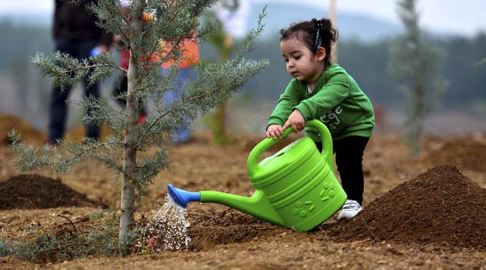 MoUs signed for planting trees in city - Vimarsana News