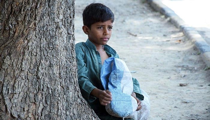 A young boy collects recycling items from roadsides in Islamabad to sell for earning daily wages, on June 11, 2022. — Online
