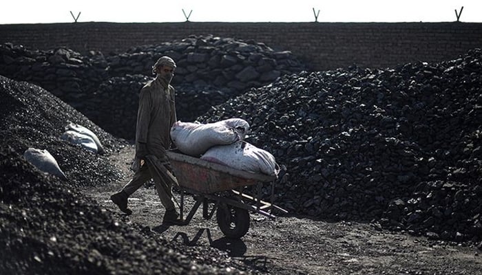 This photo shows a  laborer pushing a wheelbarrow at a coal yard on the outskirts of Kabul on November 17, 2021. — AFP