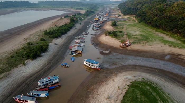 Climate change behind extreme Amazon drought: study - Vimarsana News