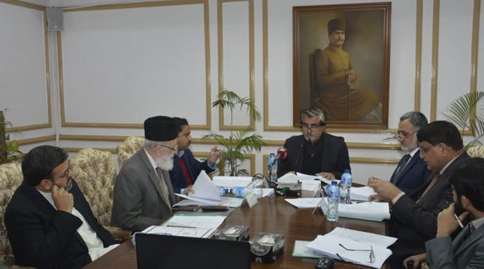 Iqbal Academy to be provided patronage: minister - Vimarsana News