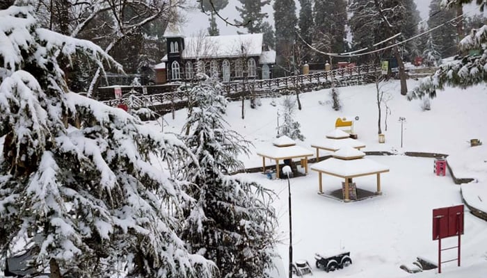 An eye-catching view of a snow-covered area during the heavy snowfall, which decreases the temperature below minus degree Celsius, at the Galyat area in Abbottabad on January 29, 2024. — PPI