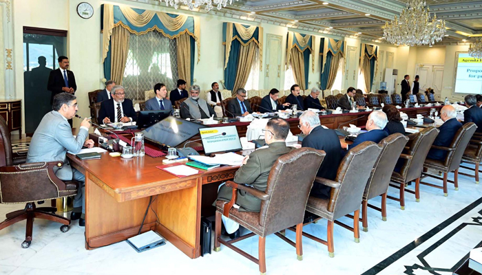 Caretaker Prime Minister, Anwaar-ul-Haq Kakar chairs a meeting of the National Economic Council held in Islamabad on January 29, 2024. — PPI