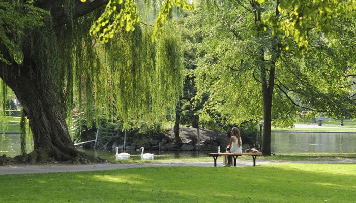 This representational image shows a park. — Unsplash