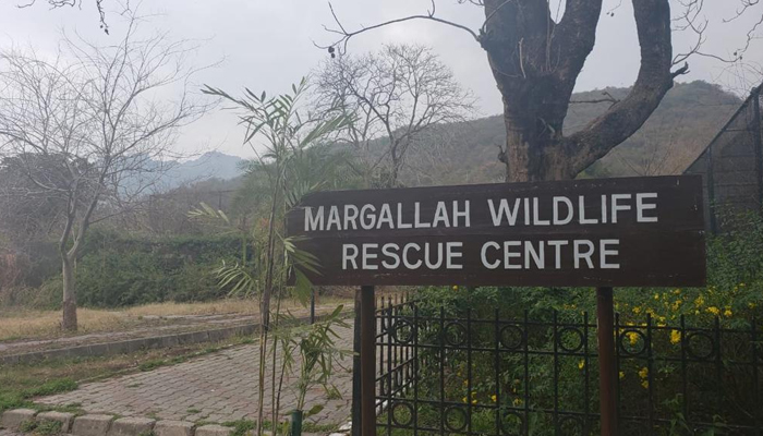 The signboard of Margalla Wildlife Rescue Center can be seen in this picture. — APP/File