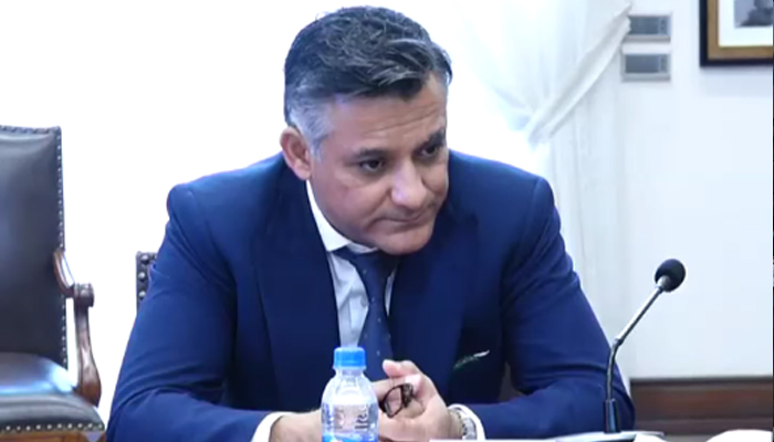 Sindh caretaker culture, antiquities & archives minister Junaid Ali Shah can be seen in this screengrab. —Facebook/Syed Junaid Ali Shah