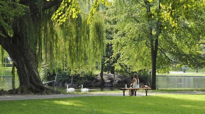 Citizens to get civic facilities at Fatima Jinnah Park - Vimarsana News