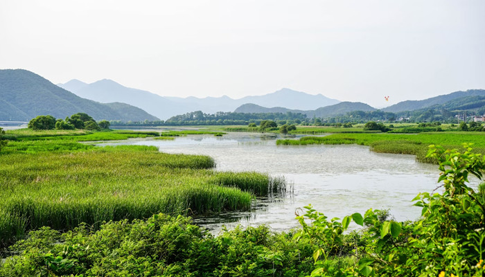 Managing wetlands - Vimarsana News