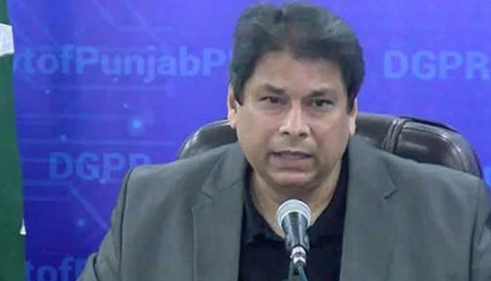 Punjab Information and Culture Minister Amir Mir addresses a meeting. — APP/File
