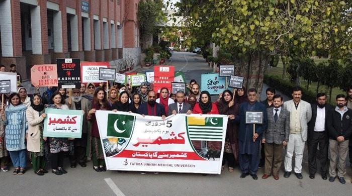 World bodies asked to resolve Kashmir issue - Vimarsana News