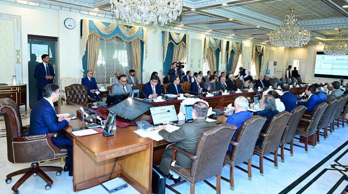 Cabinet approves PIA restructuring - Vimarsana News