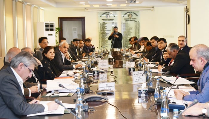 Federal Minister for Finance, Revenue, and Economic Affairs Dr Shamshad Akhtar presides over an ECNEC meeting in Islamabad on February 7, 2024. — X/@Financegovpk